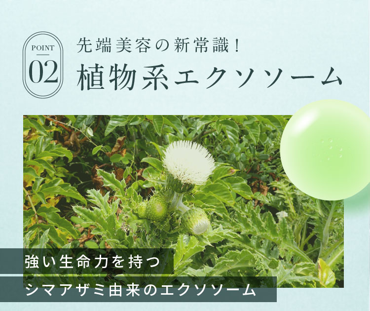 POINT02.先端美容の新常識！植物系エクソソーム